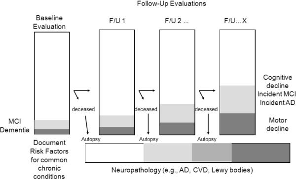 Fig. (2)