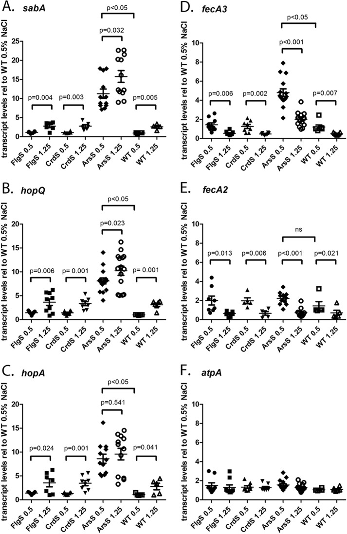 FIG 6