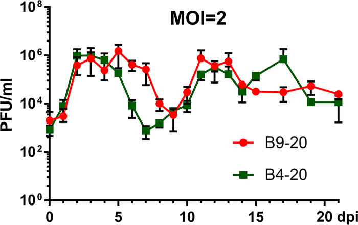 FIG 1