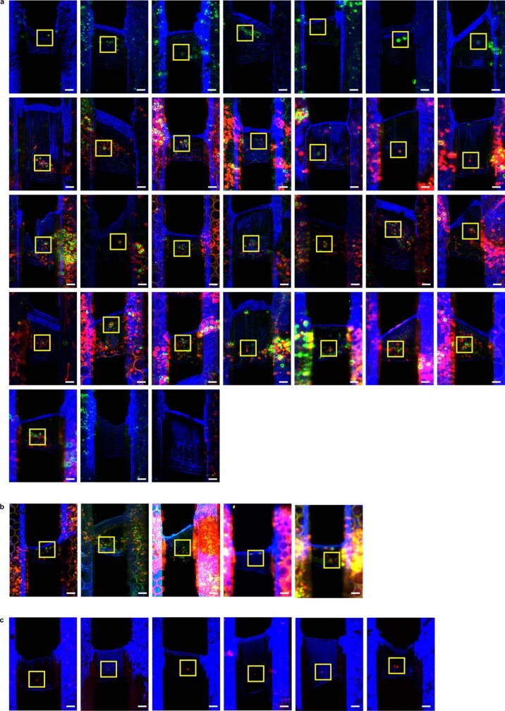 Extended Data Fig. 3