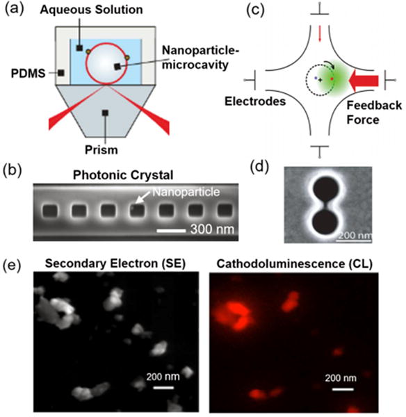 Figure 24