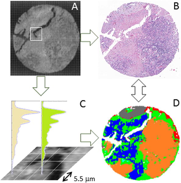 Figure 21