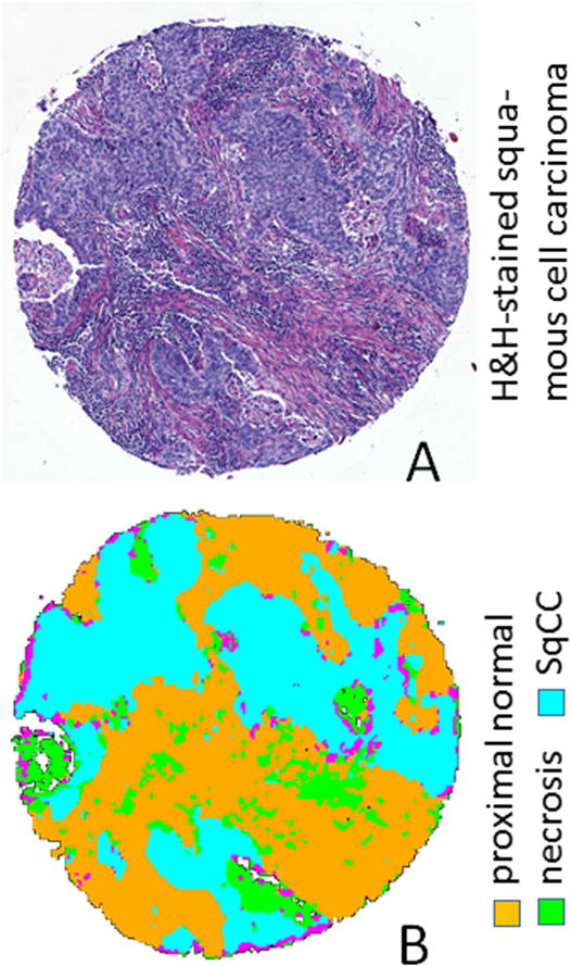 Figure 22