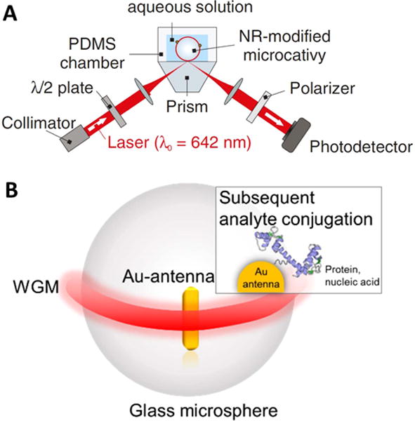 Figure 23