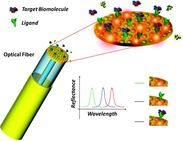 Figure 20