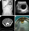 Fig. 3