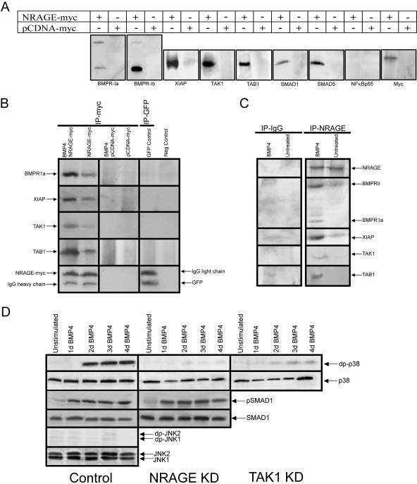 FIG. 3.