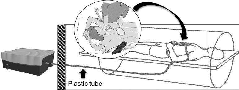 Figure 11.