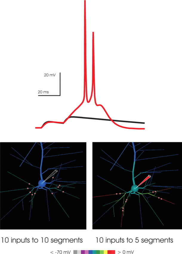 Figure 10.