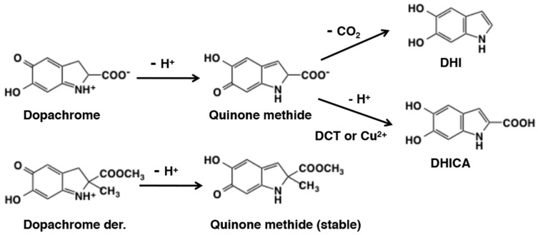 Figure 28