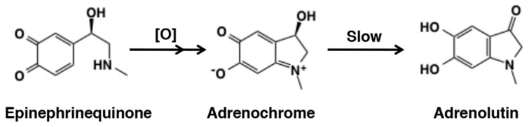 Figure 33