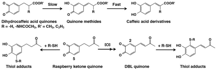 Figure 21