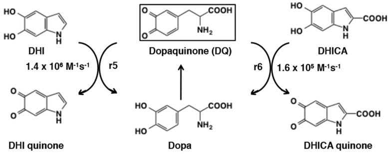 Figure 29