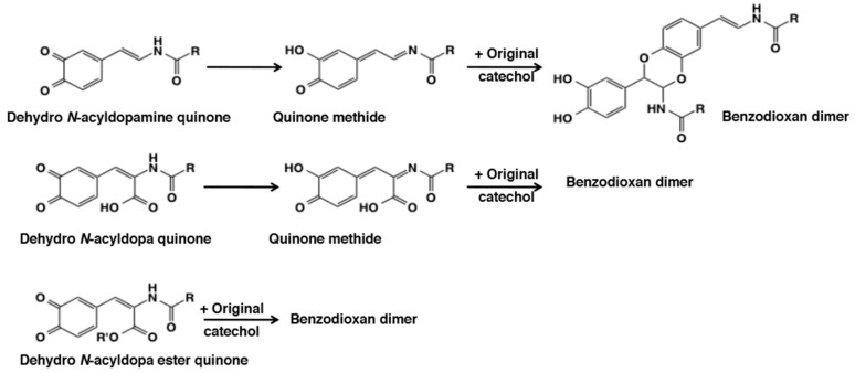 Figure 22