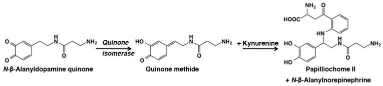 Figure 20