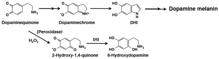 Figure 31