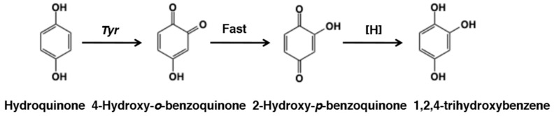 Figure 17