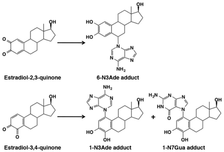 Figure 26