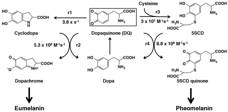 Figure 27