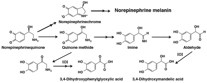 Figure 32