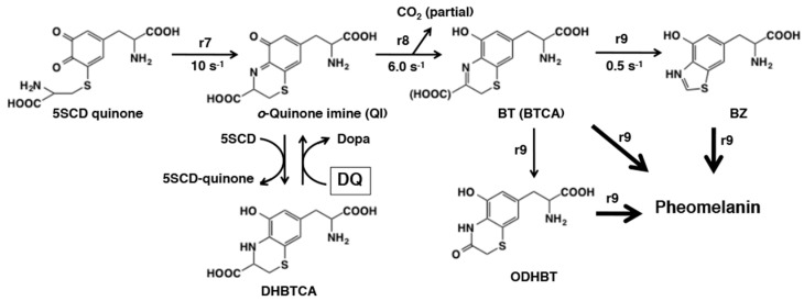 Figure 30