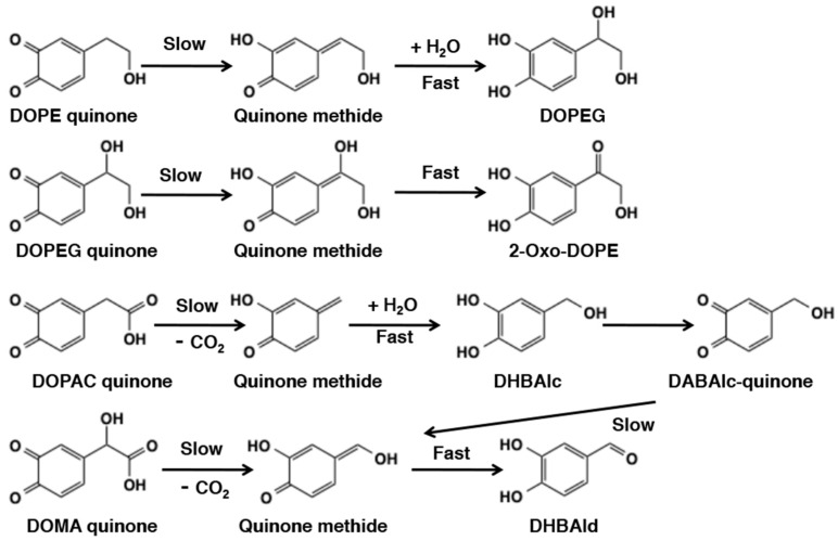 Figure 19