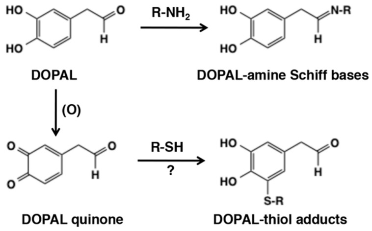 Figure 25