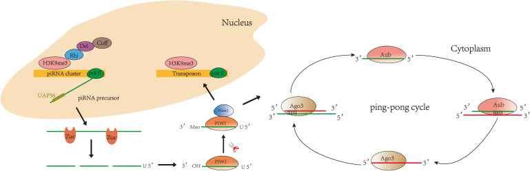 Figure 1