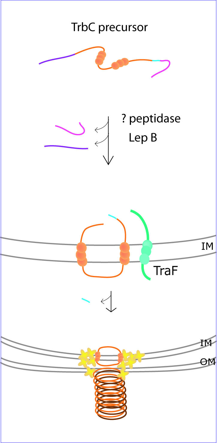 FIG. 5.