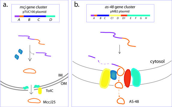 FIG. 4.