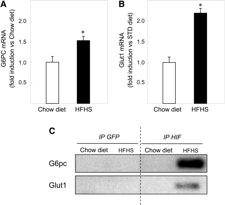 FIG. 7.