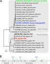FIG 1