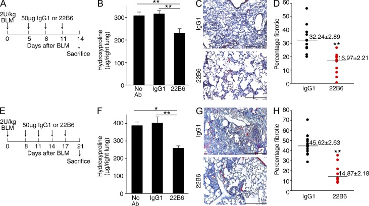 Figure 10.