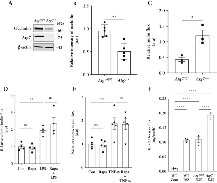 Figure 11.