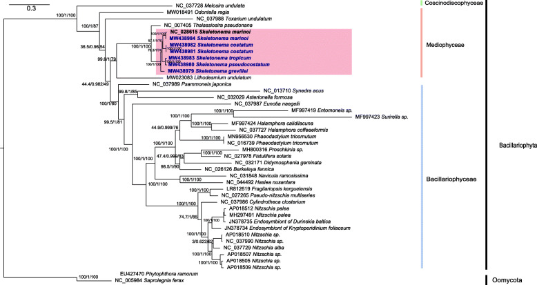 Fig. 3