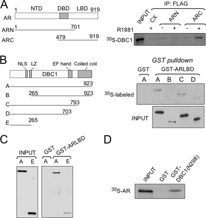 FIGURE 2.