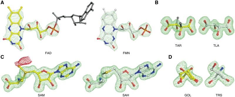 Fig. 6.