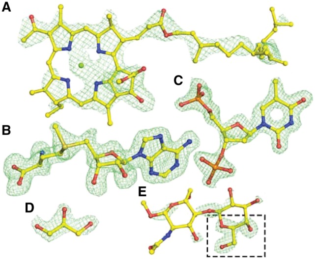 Fig. 5.