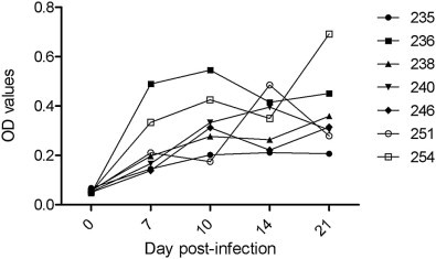 Fig. 4