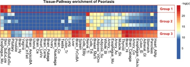 Fig 3.