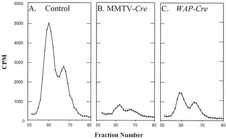 FIG. 5.