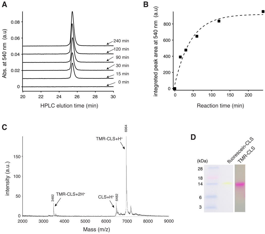 Figure 5