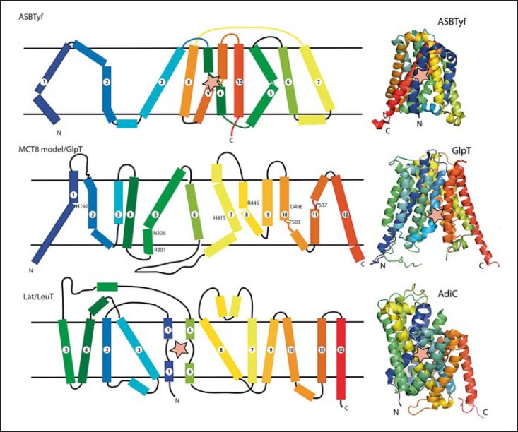 Fig. 3