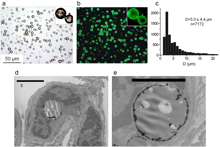 Fig. 17