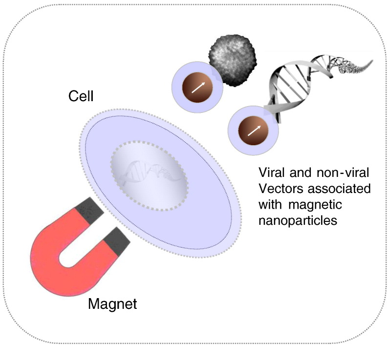 Fig. 1