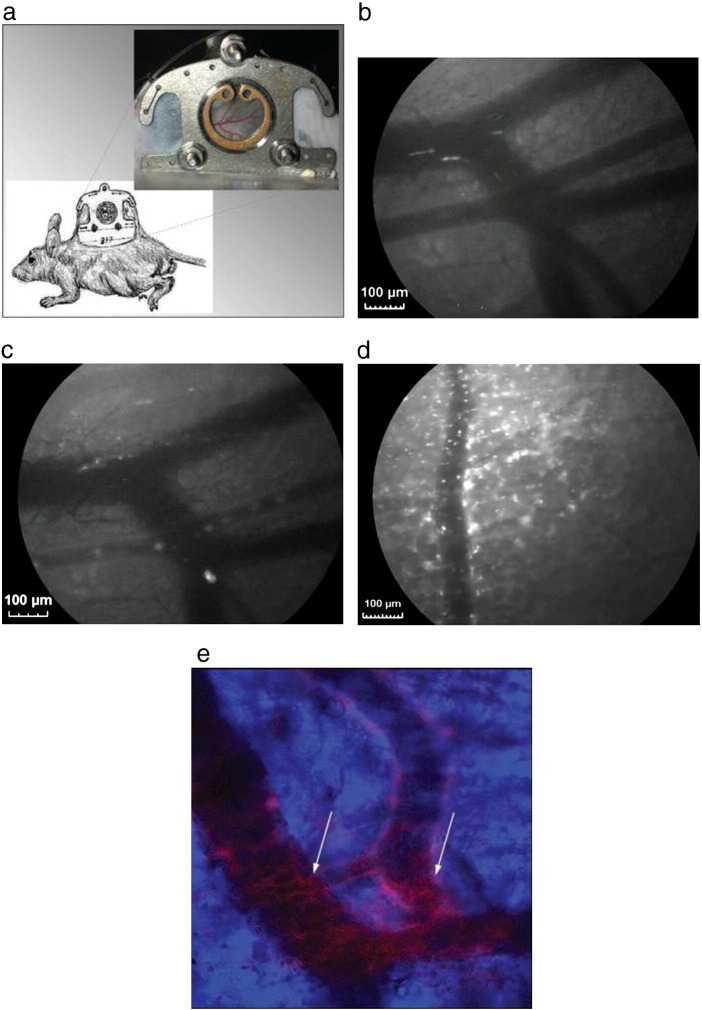 Fig. 18