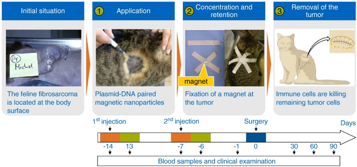 Fig. 13