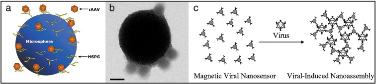 Fig. 3