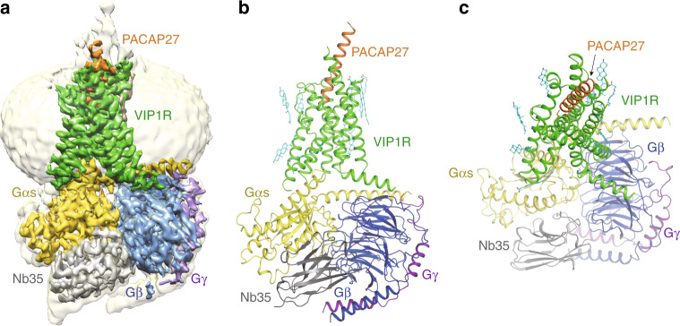 Fig. 2