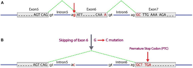 FIGURE 3